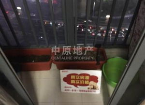 花样年华房屋出租 东莞中原地产网与世博物业联手打造理想之家