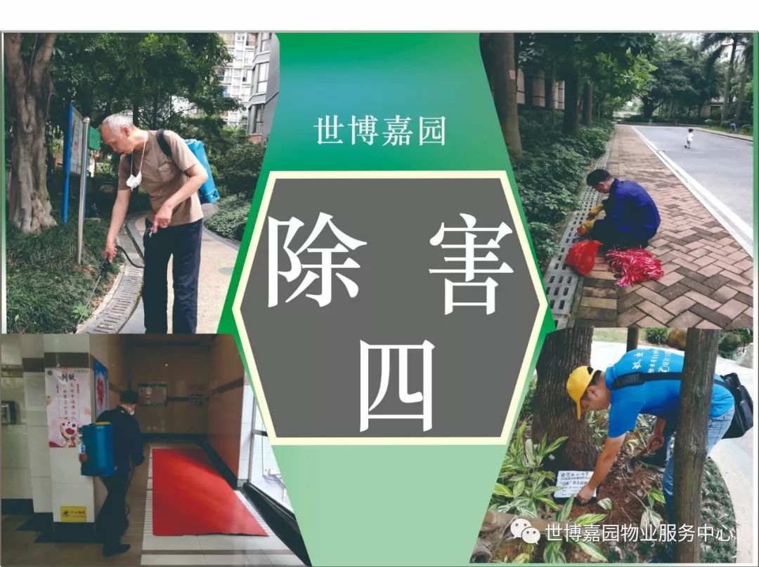 世博嘉园住宅小区除四害温馨提示